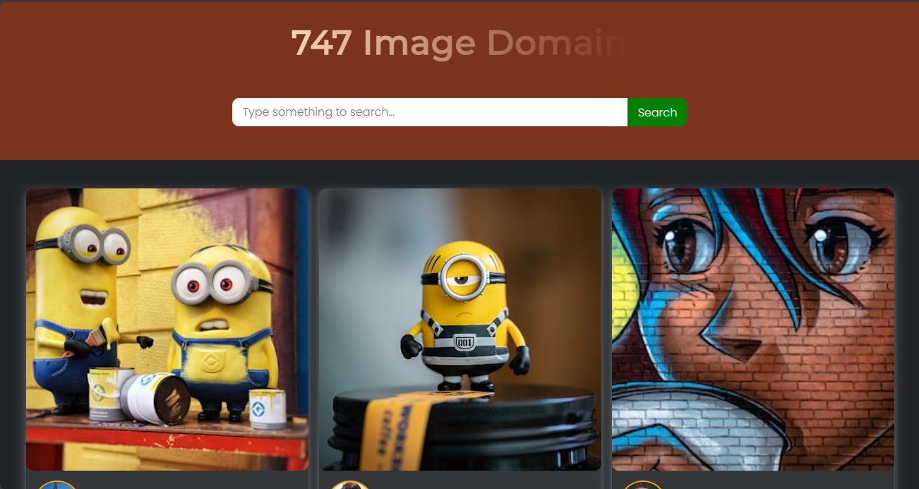 747 Image Domain